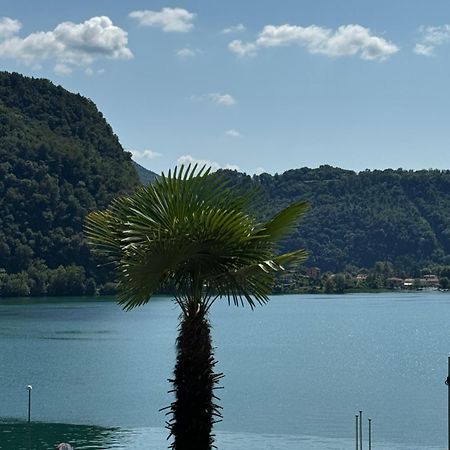 Neue Gartenwohnung Mit Sicht Auf Den Luganersee Понте-Треза Екстер'єр фото