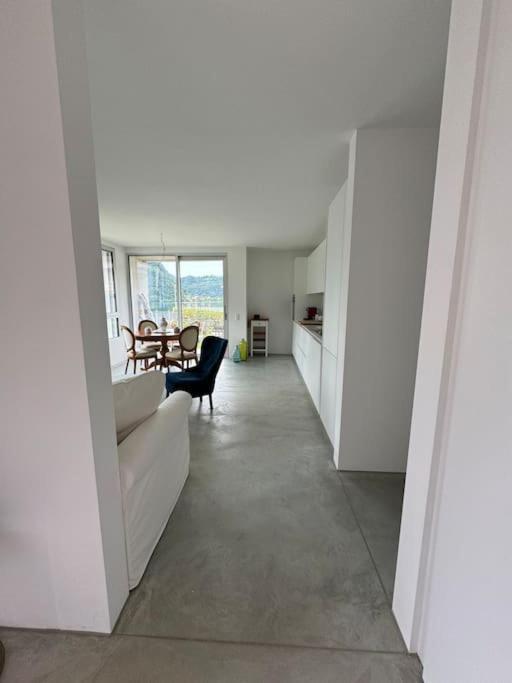 Neue Gartenwohnung Mit Sicht Auf Den Luganersee Понте-Треза Екстер'єр фото